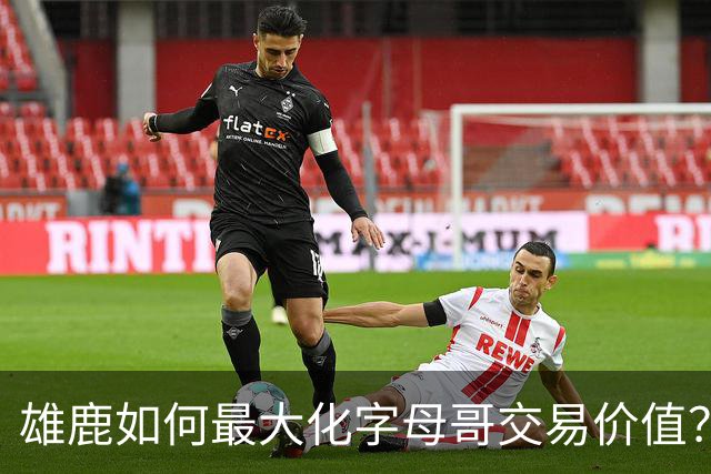 雄鹿如何最大化字母哥交易价值？等竞争对手 或许热火会提高报价